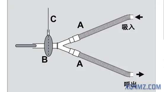 image.png.webp image.png.webp