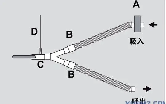 image.png.webp image.png.webp